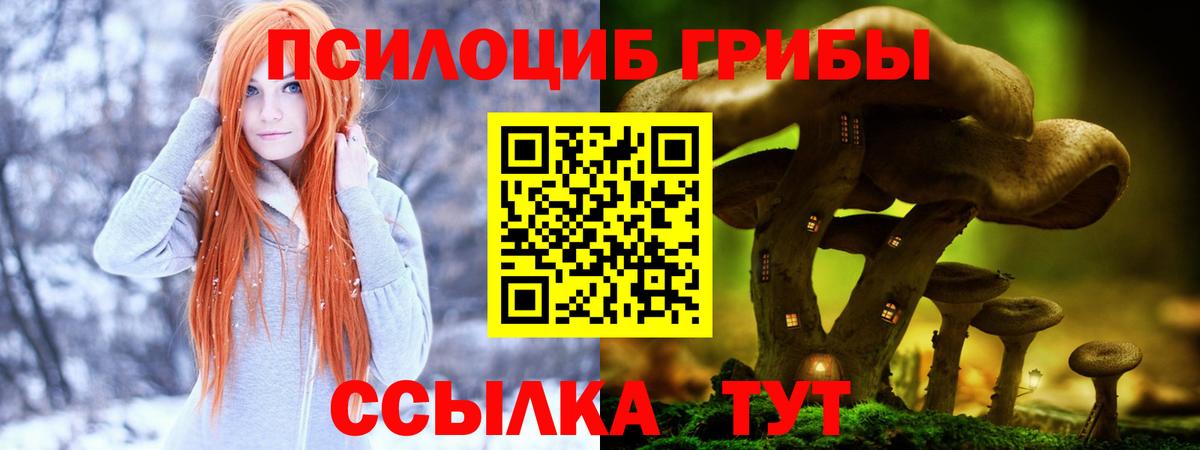 Псилоцибиновые грибы GOLDEN TEACHER  Галлюциногенные грибы MAGIC MUSHROOMS  Вход с VPN  Аргун 