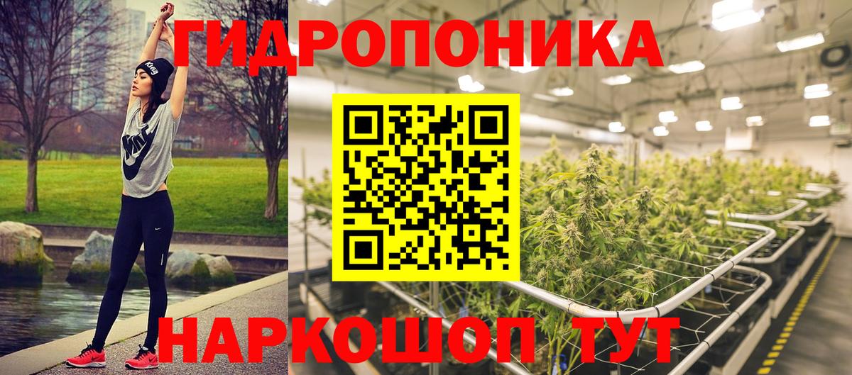Канабис Bruce Banner  Бошки Шишки ГИДРОПОН  Канабис семена  Вход с VPN  Конопля Amnesia  Аргун 